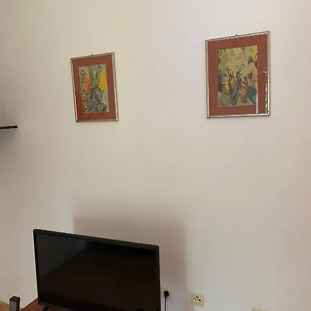 Botanic Apartment *