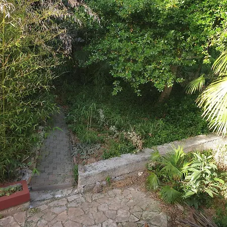 Botanic Apartment *