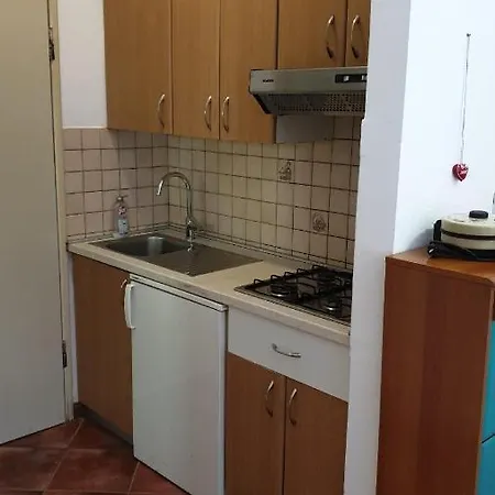 Botanic Apartment